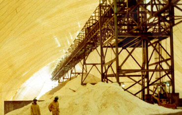 香蕉在线播放APP货仓