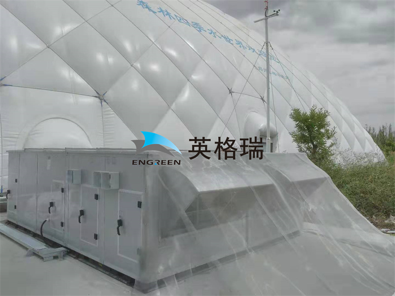 你知道为什么大香蕉操逼视频见到的大多数香蕉在线播放APP体育馆都是气肋式的吗？